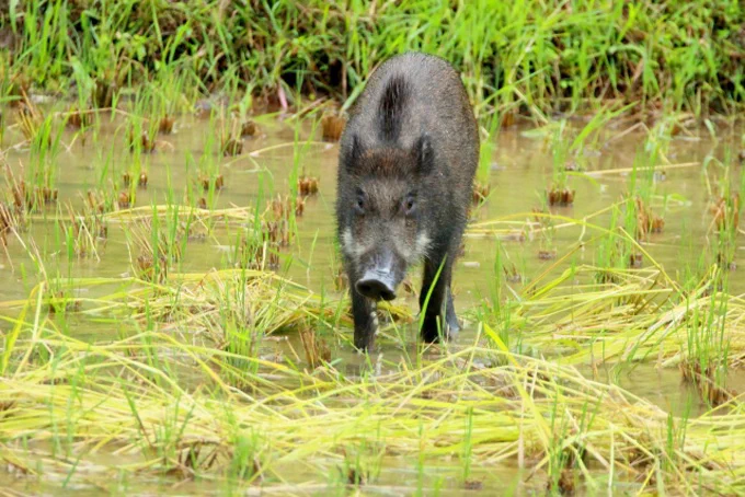 @tyomateee2 お久しぶりです、その節は可愛がっていただきありがとうございました。また抱きしめてもらえますか？ブウォォォォ！ 