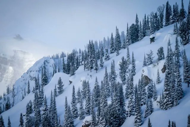 L'évènement le plus cool du snowboard actuel couronne Sage Kotsenburg, un médaillé olympique qui n'a pas peur de la poudreuse buff.ly/3raYSNW