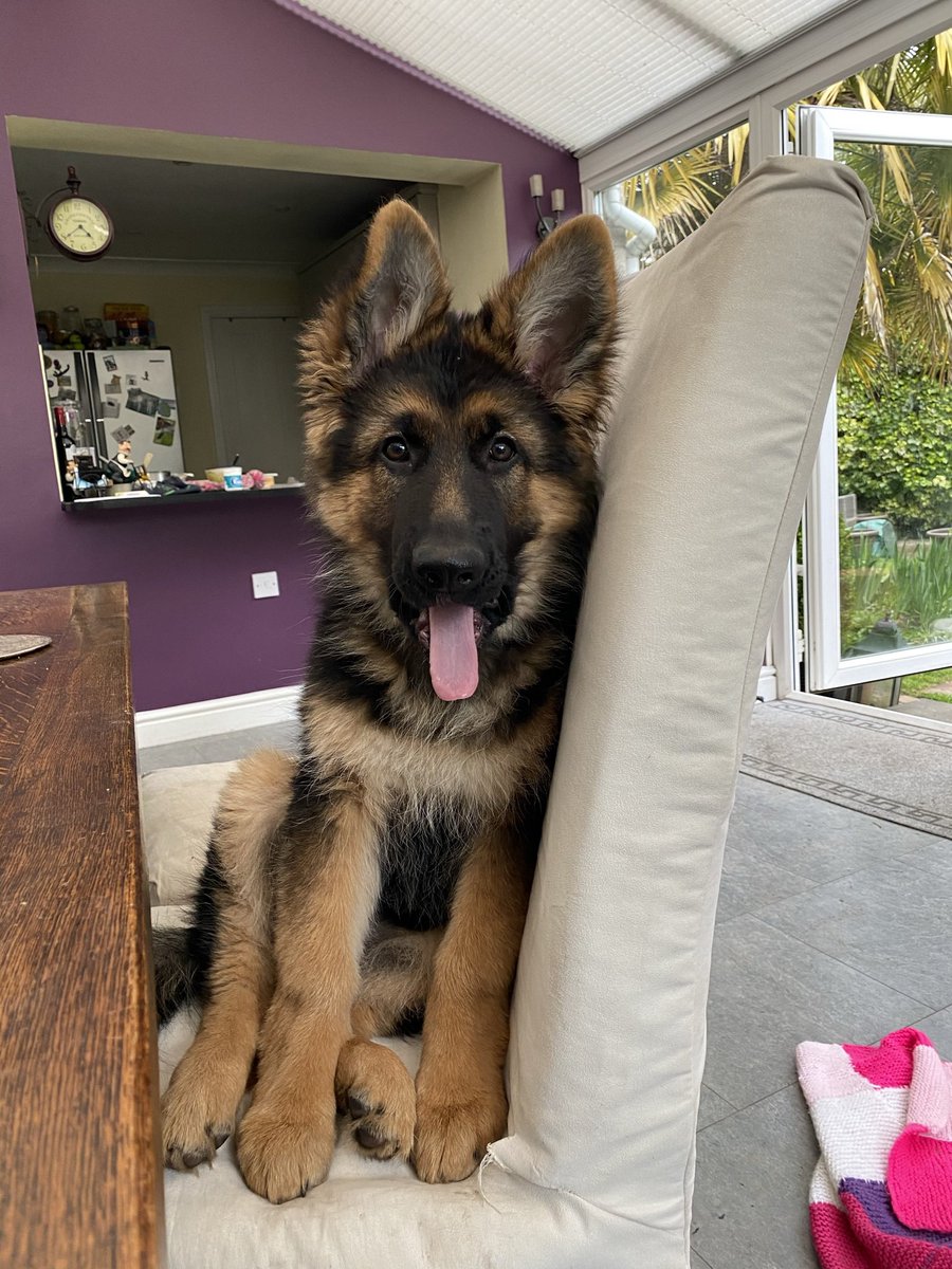 Vicki Phillips tweet media