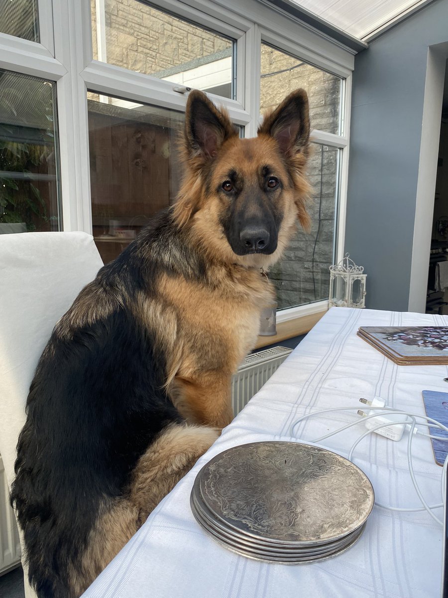 Vicki Phillips tweet media