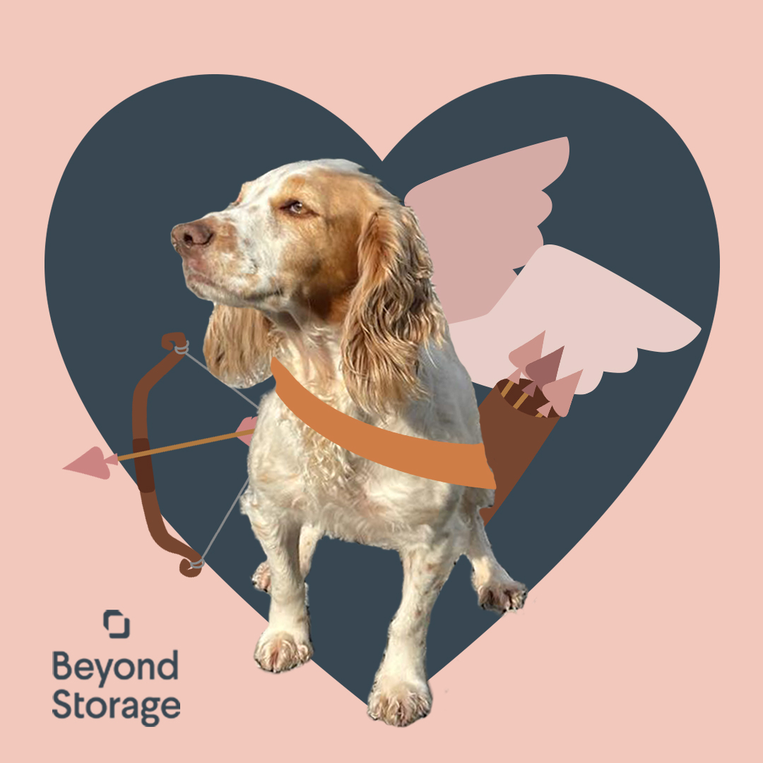 We hope everyone had a romantic Valentine’s day yesterday! And if not, don’t worry, we’re sure Peanut’s - or Cupid’s - arrows will hit you soon enough. Anyway, time to tuck into all that discounted chocolate!

beyondstorage.co.uk