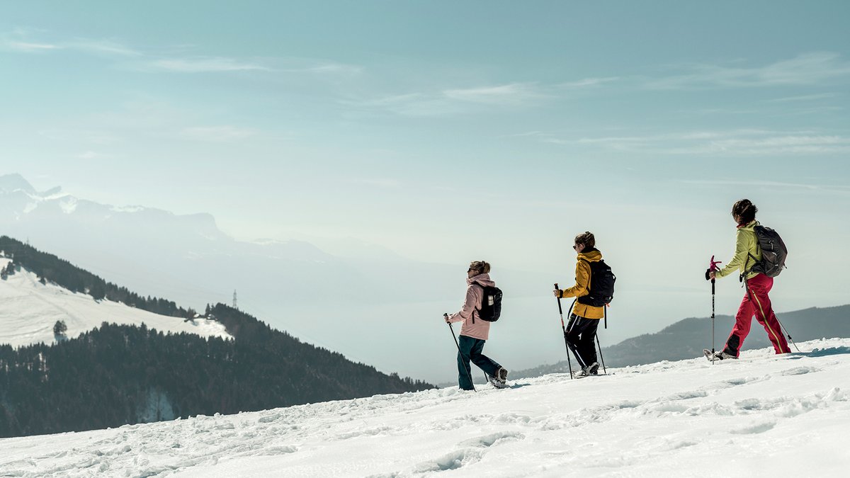 uft_ftv's tweet photo. Sillonner en #raquettes à neige un itinéraire balisé et s’installer pour déguster une bonne #fondue, c’est possible aux #Paccots!
Après avoir déballé le kit à #fondue, trinquez et goûtez au saucisson inclus dans le forfait.
👉 https://t.co/n26jPq5m18
@STMediaCH
@fribourgregion https://t.co/htCJYccJgS