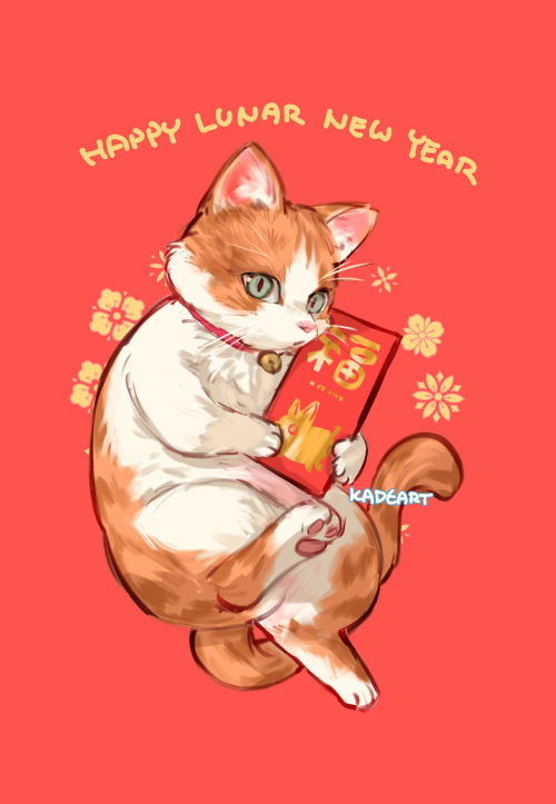 1girl cat shirt blinds holding orange shirt animal  illustration images