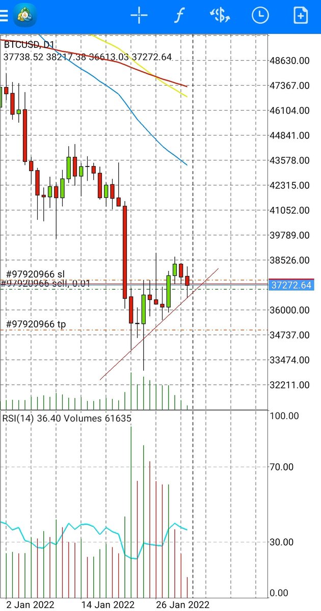 EgyptLiebe's tweet photo. @GordonCoinGekko Also a rising Wedge on the daily chart https://t.co/sqCcyzBRgg