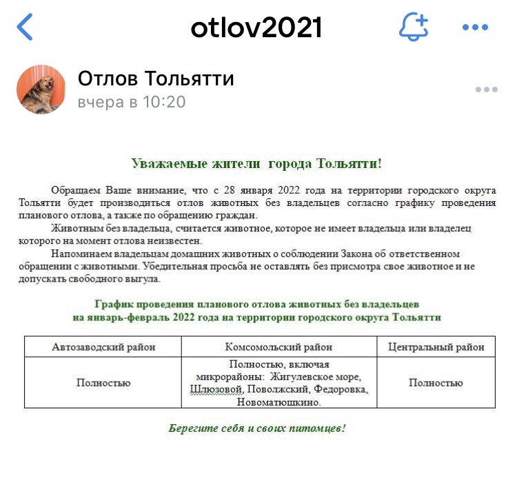 В Тольятти организован отлов безнадзорных животных!: mkucentr.ru/?p=16254