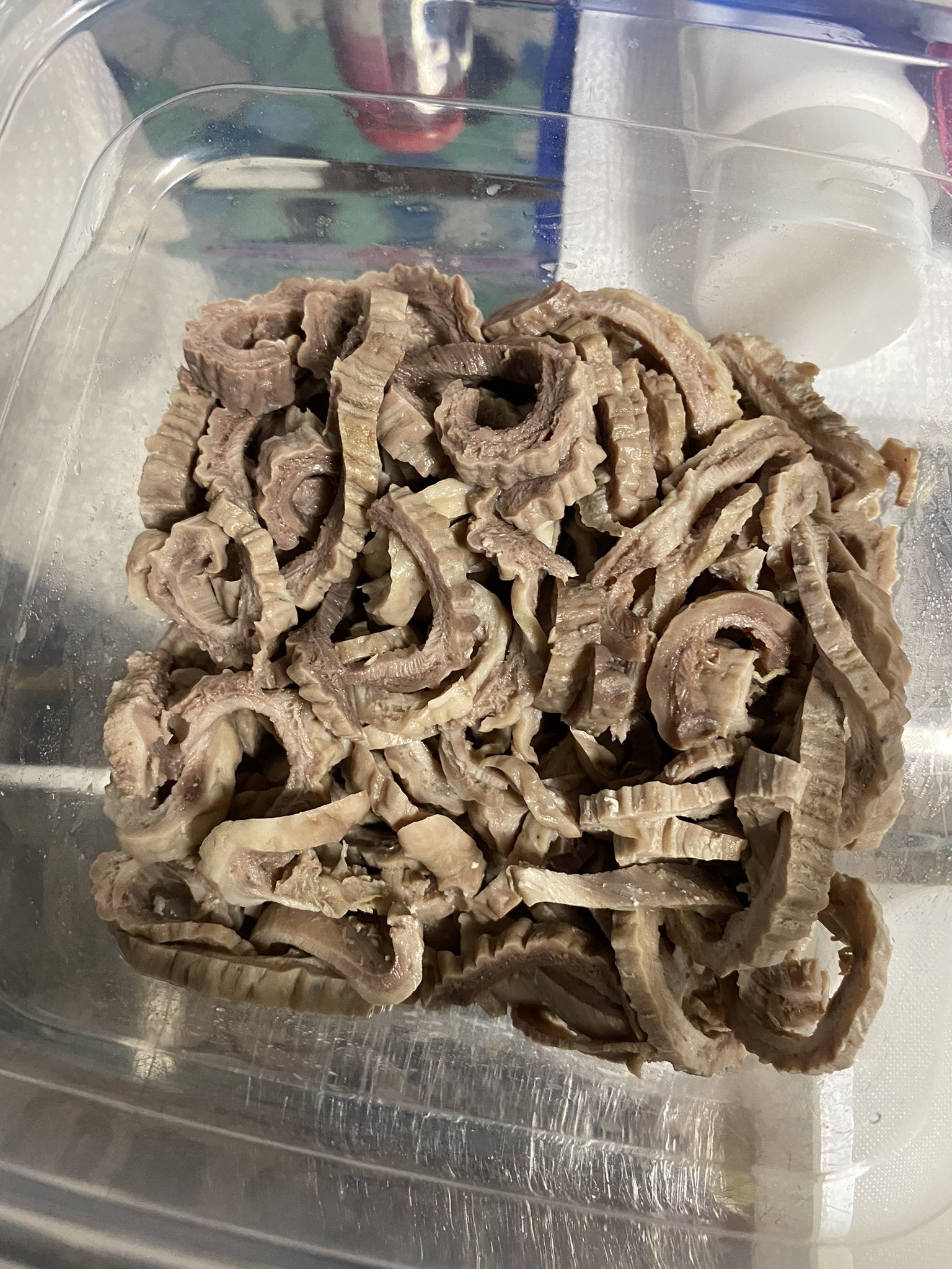 しゅう 正月くわぁっちー うふげー インガンダルマ T Co U9tvy3kjie Twitter