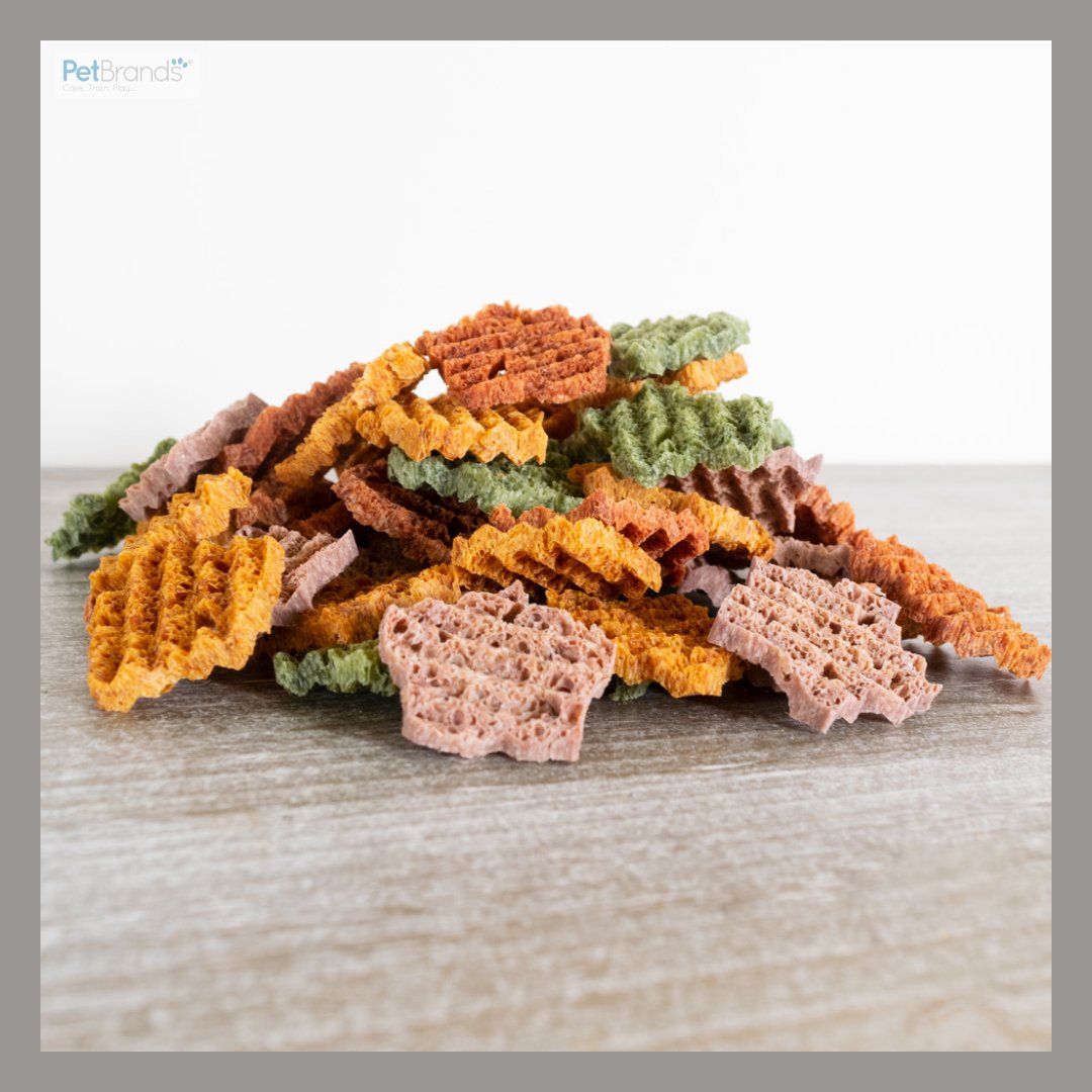 The Elkwood Sponge Dental Training Treats are the perfect motivation for your pooch this #NationalTrainYourDogMonth!

#PetBrands #Pets