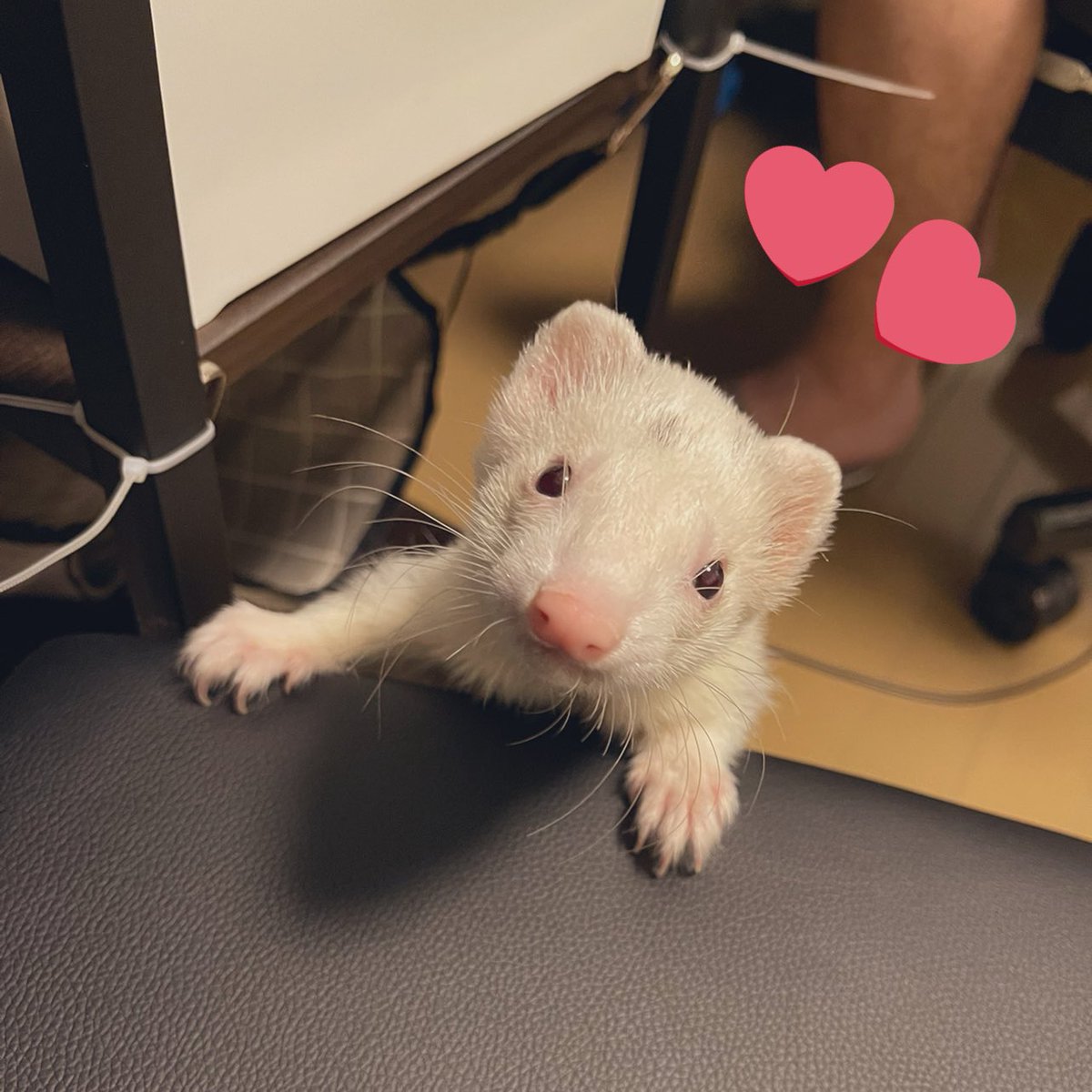 tmyz19's tweet photo. 素敵な経験をさせてくれて、ありがとう☺️ https://t.co/tw9dMlX0MV