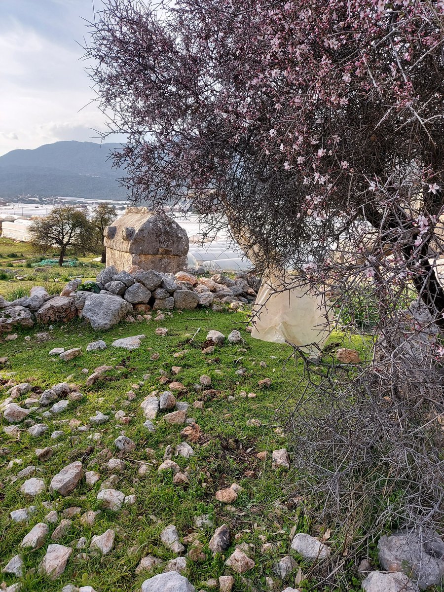 SimgeselSey's tweet photo. Eminim Likyalılar, sera çöpleriyle çevrili bir gelecek hayal etmemişlerdir. Tarihi kalıntıların çevrelerinin, yürüyüş rotalarının bu hali nedir? Sorumluluk alacak tek bir kurum yok mudur?
@DemreBelediye
@ANTALYABB 
@BocekMuhittin 
@kasbelediye 
@sgokbakar 
@nevsinmengu https://t.co/OAyYMi0C60