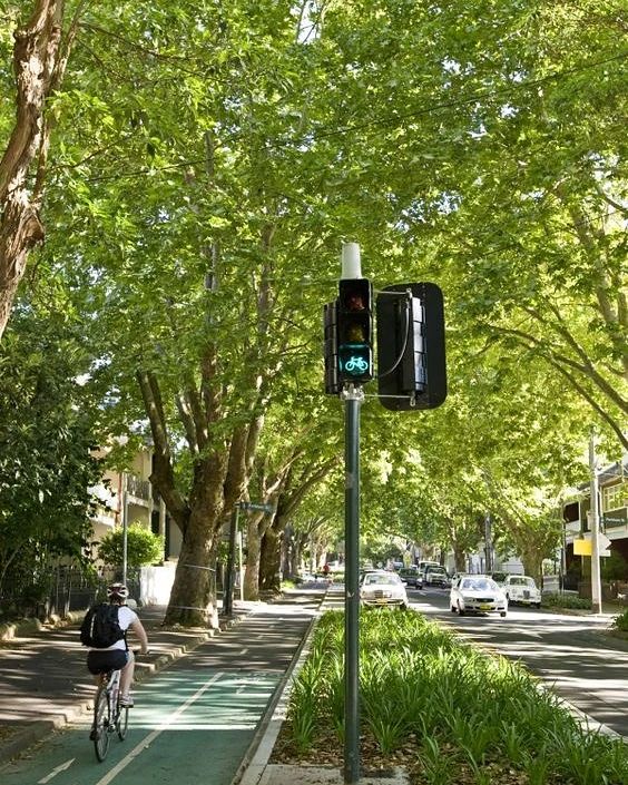 arboles_magicos's tweet photo. Alcalde, hay que podar mucho porque los árboles grandes son peligrosos, se caen y matan a la gente, además no vemos la calle desde los balcones, ensucian el canalón y los pajaros se cagan en los coches.
...Menos en Sydney, allí se ve que no se caen, ni tapan la vista ni ensucian. https://t.co/2AhYLA4zow