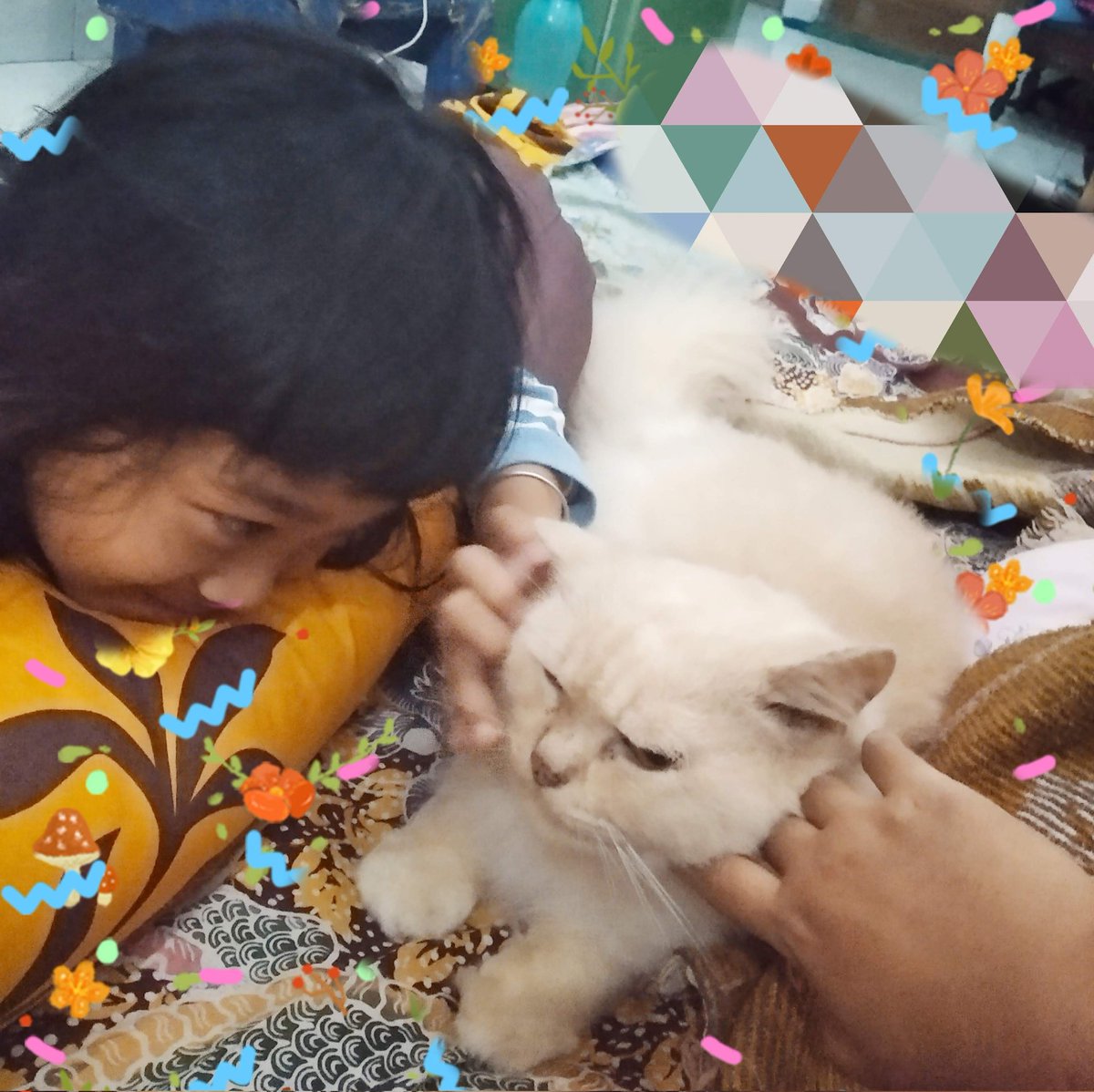 Cat is my muse RainbowCat #neko #kucing #cats #cat #ilovemycat #adorable #sleeping #petsagram #lovecats #kittens #instagood #furry #catsagram #photooftheday #pets #meong #kitten #instacat #catstagram #toptags #petstagram #pet #lovekittens #kitty #instagramcats #meow #ilovecat