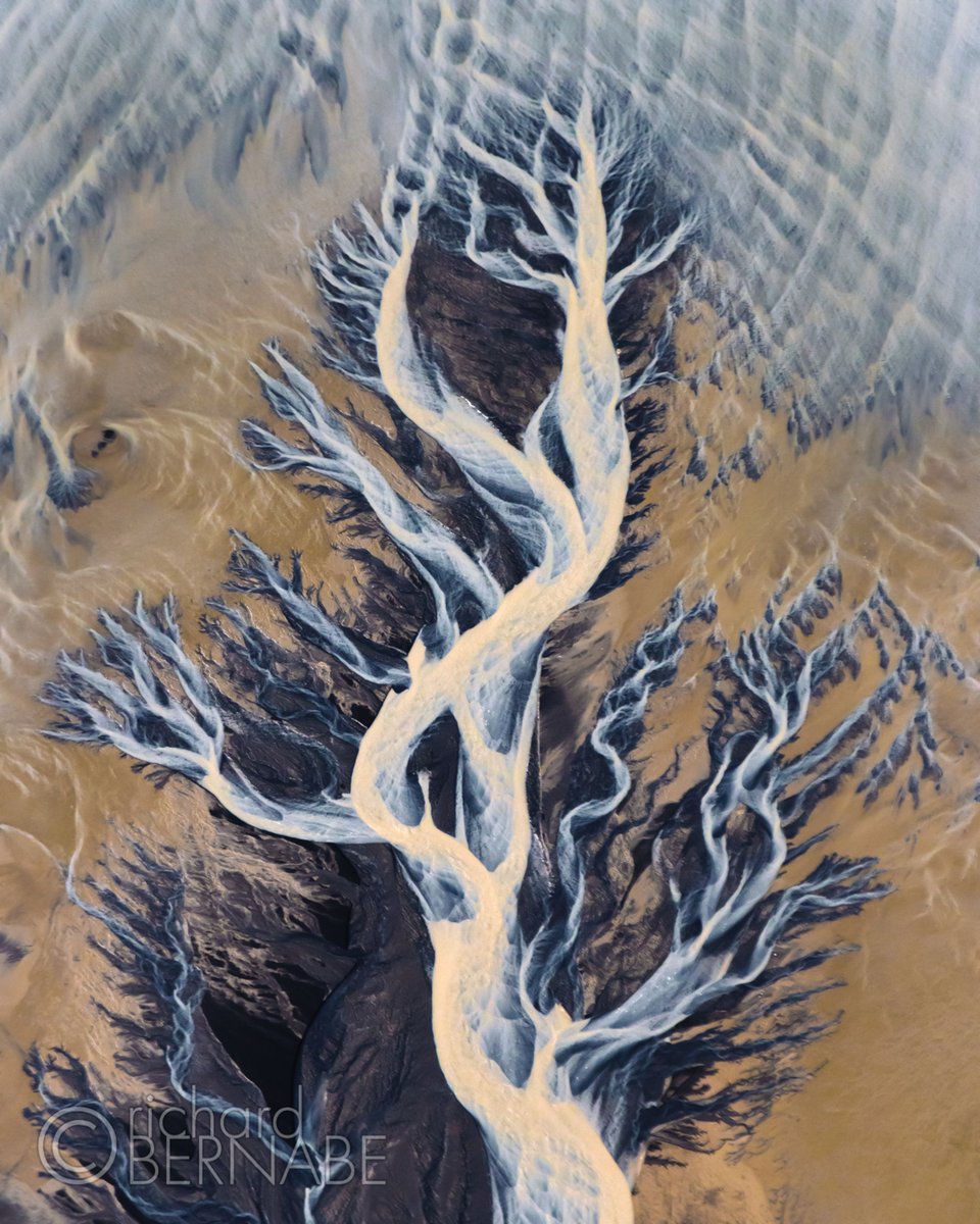 "Earth Tree" An aerial view of one of Iceland's many glacier river deltas as it meets the edge of the sea. #photography #Iceland