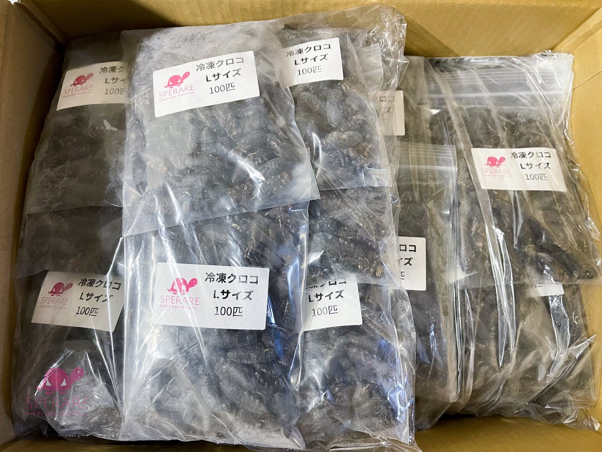 SPERARE2019's tweet photo. 月曜定休日ですが発送がぼちぼちありますので本日も作成&amp;発送作業をしていました。

いつもご購入ありがとうございます😊

我が焼津市も今週位には新規感染3桁行っちゃいそうな感じですね、、、💦

#爬虫類餌
#冷凍餌通販
#冷凍コオロギ
#冷凍クロコ
#MonitorFeed
#turtlefeed
#Leopafeed https://t.co/0Gc1Ffx3yD