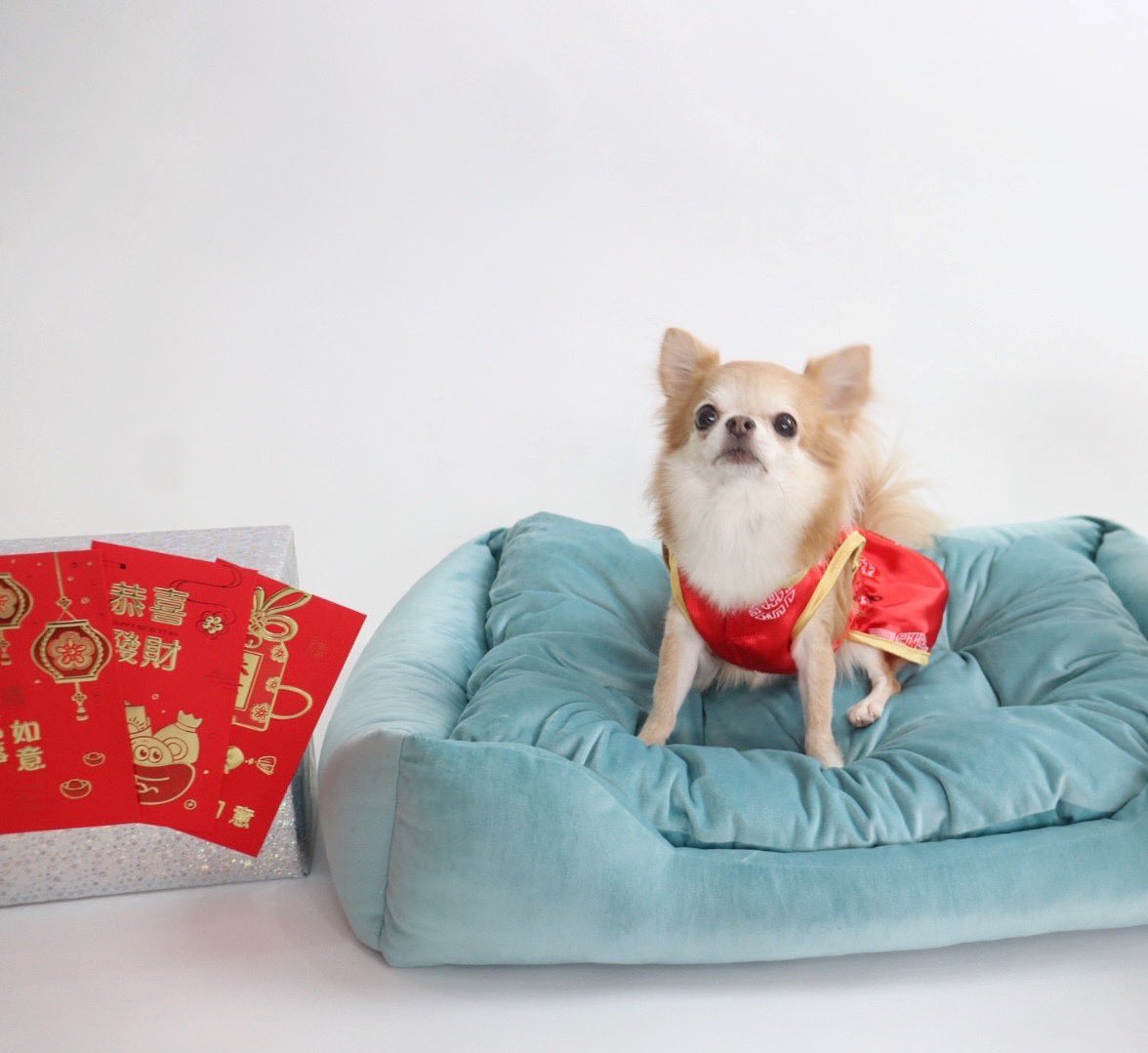 ใครยังไม่มีอั่งเปามาเอาที่เจ๊ได้เลย🧧
#Thonglorpethospital
#Charlotteka <a href="/winmetawin/">Winmetawin</a>