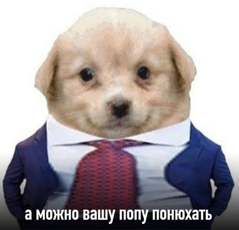 FKbVBQsX0AAFCuv?format=jpg&name=medium