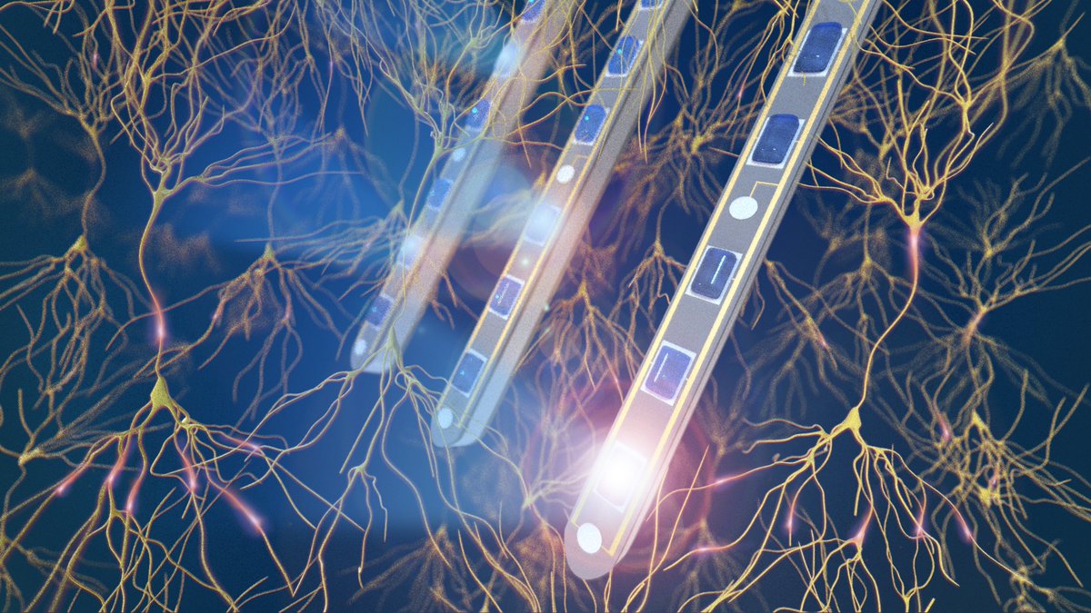 CANDO NCL (@candoncl) on Twitter photo Could you be our ideal PhD student for the following project:
Optogenetic control of chronic epilepsy, using brain-machine interfaces
Part of the new Epilepsy Doctoral Training Hub <a href="/UniofNewcastle/">Newcastle University</a> <a href="/NeuroNCL/">NCL Neuroscience</a> #phd #epilepsyresearch
Find out more at cando.ac.uk/eruk-phd/ Could you be our ideal PhD student for the following project:
Optogenetic control of chronic epilepsy, using brain-machine interfaces
Part of the new Epilepsy Doctoral Training Hub <a href="/UniofNewcastle/">Newcastle University</a> <a href="/NeuroNCL/">NCL Neuroscience</a> #phd #epilepsyresearch
Find out more at cando.ac.uk/eruk-phd/