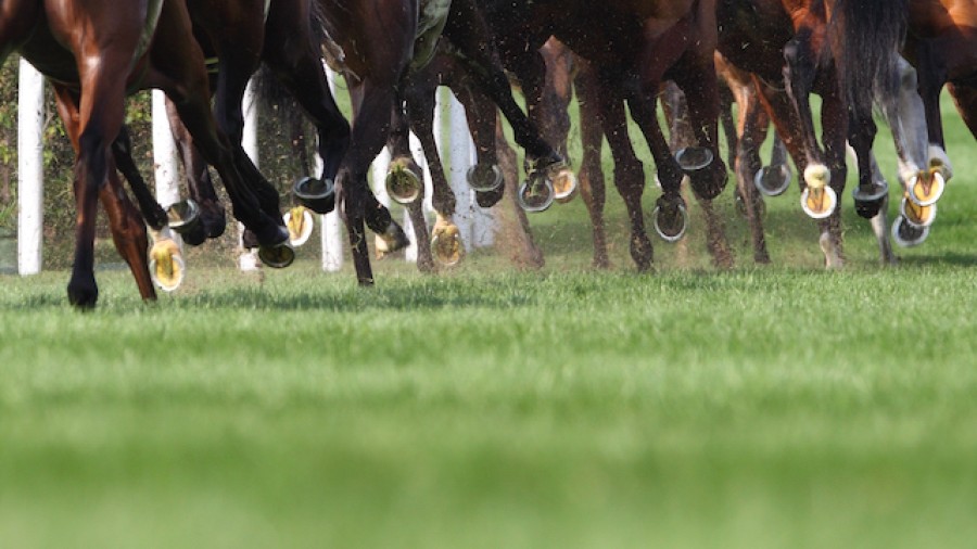 LawInSport's tweet image. 🏇Personal Injury in Horseracing: Court finds jockey guilty of reckless disregard for safety- bit.ly/3ANCMV2 by @HarryStewartMo1 
#SportsLaw #Horseracing