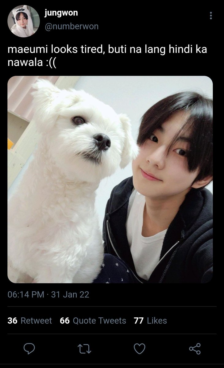 instajaywon's tweet photo. #jawon one twt au wherein... https://t.co/eTUazrE1wp