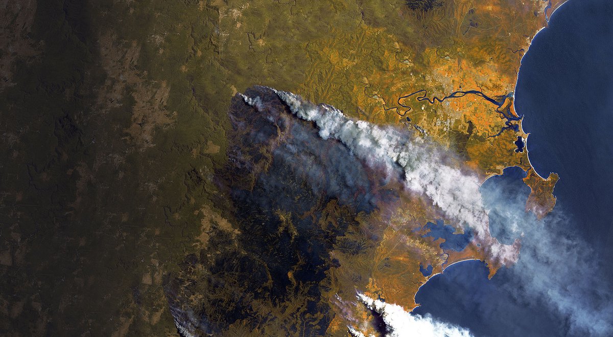 FIRE-RES tweet media