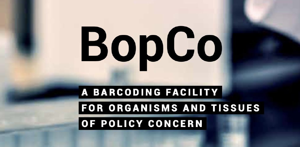 LifeWatchERIC's tweet photo. 🔔 @LifewatchBE is looking for a postdoc #researcher to work on the #BopCo project. Don't miss out on this fantastic opportunity – application deadline 7/2/22!
➡️https://t.co/LAE9G4qKkb
#research #vacancy https://t.co/uTu6TFgGNa