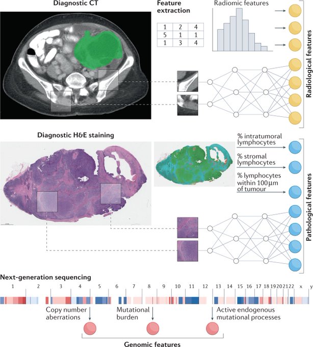 NatureRevCancer's tweet image. In the Feb issue of @NatureRevCancer | Harnessing multimodal data integration to advance #PrecisionOncology, by Kevin M. Boehm, Pegah Khosravi, (...) & Sohrab P. Shah
⚡ go.nature.com/3B2eZin
@natrescancer @sloan_kettering #CancerTherapy #ArtificalIntelligence