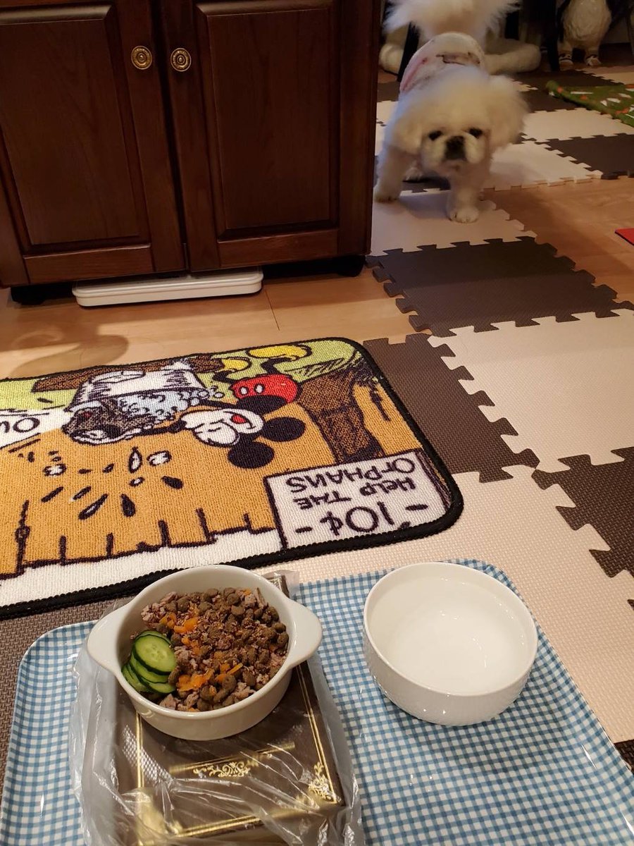 By ホワイティいぬだ Edayfm