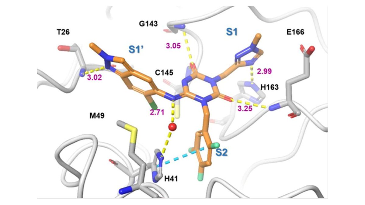 A core principle behind COVID Moonshot is that an open-science approach will accelerate antiviral discovery. With this weekend's release of a new preprint from <a href="/SHIONOGI_JP/">SHIONOGI</a> describing an extraordinary new noncovalent oral antiviral, this hypothesis has been validated!