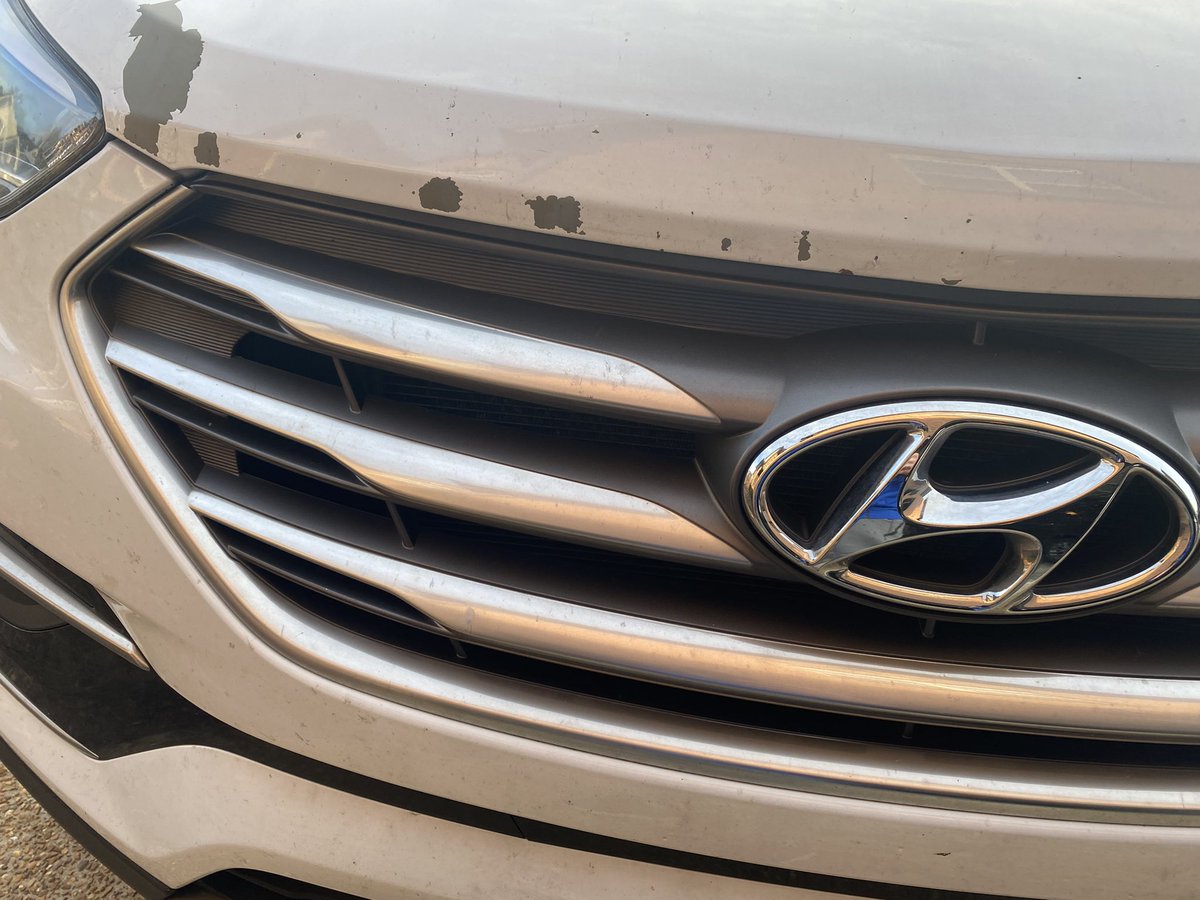 The paint on my ‘17 <a href="/Hyundai/">Hyundai USA</a> Santa Fe has begun to chip. Bewildered, I did some research online only to find out that THOUSANDS of owners have had the same problem. What a shame … that <a href="/Hyundai/">Hyundai USA</a> doesn’t make a dependable product.