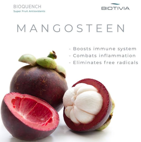 Bioquench  - Formulated using individually standardized polyphenols with the goal of providing greater antioxidant efficiency than single antioxidants like vitamin C.