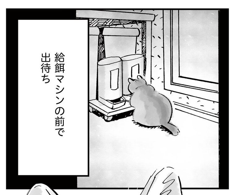 出待ちするフミちゃん。 https://t.co/1l1qrQWcPp 
