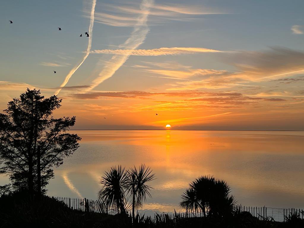 visitwexford's tweet photo. Sunrise over Wexford Harbourโจ
What did you do this weekend? Tag us in your photos๐ธ
Time for new adventures & fresh trails in Wexford at https://t.co/caxUJVo0Pk ๐๐
#TimeForNewAdventures #KeepDiscovering #IrelandsAncientEast @Failte_Ireland @TourismIreland @DiscoverIreland https://t.co/nSYxxxKBhz