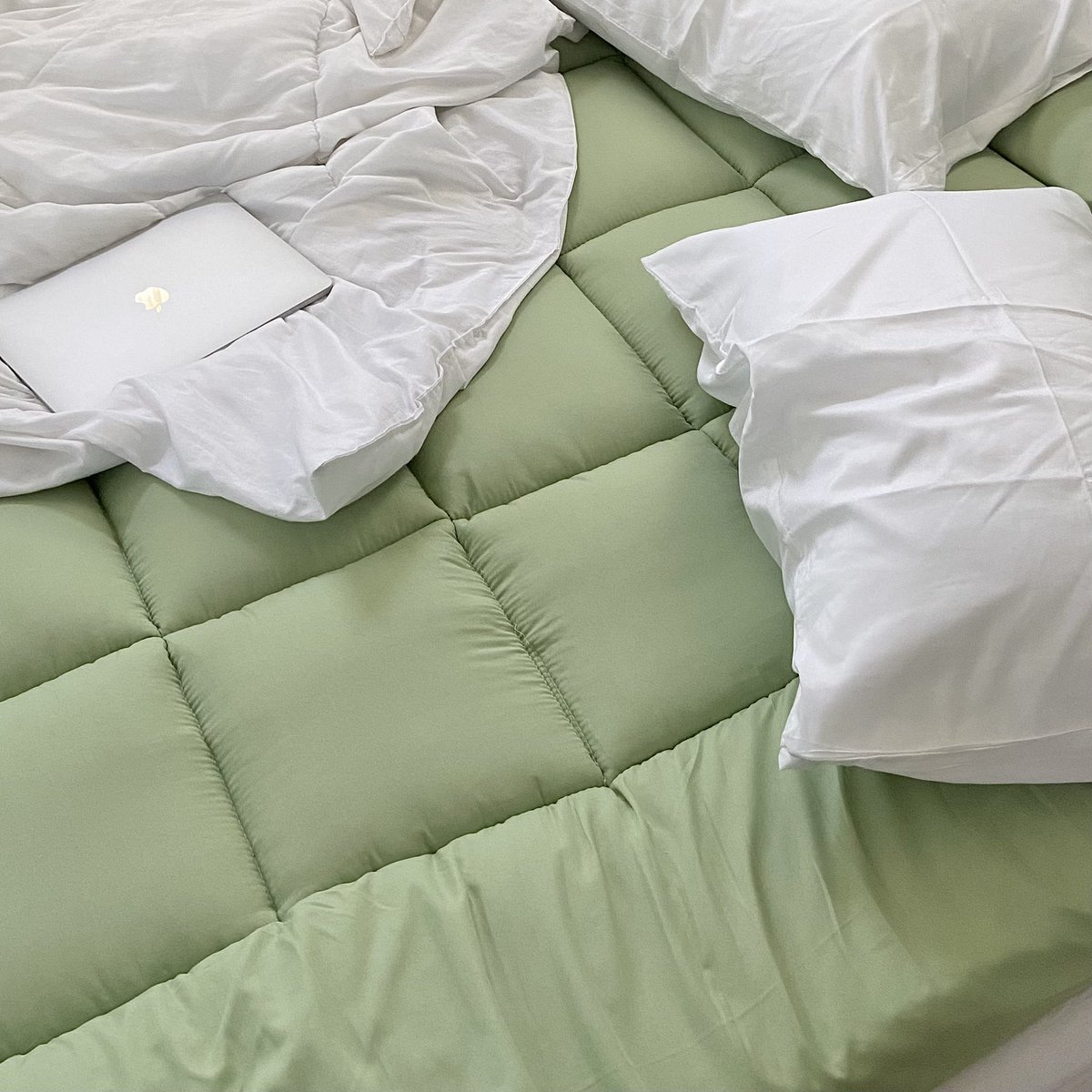 moohyungbbi's tweet image. 굿밤 🥕🧂🛌