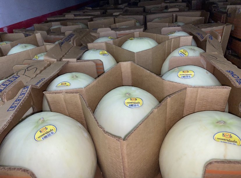 FarmersChoiceUS's tweet photo. #Honeydews #FarmersChoiceUSA https://t.co/4d0WSlNwsH