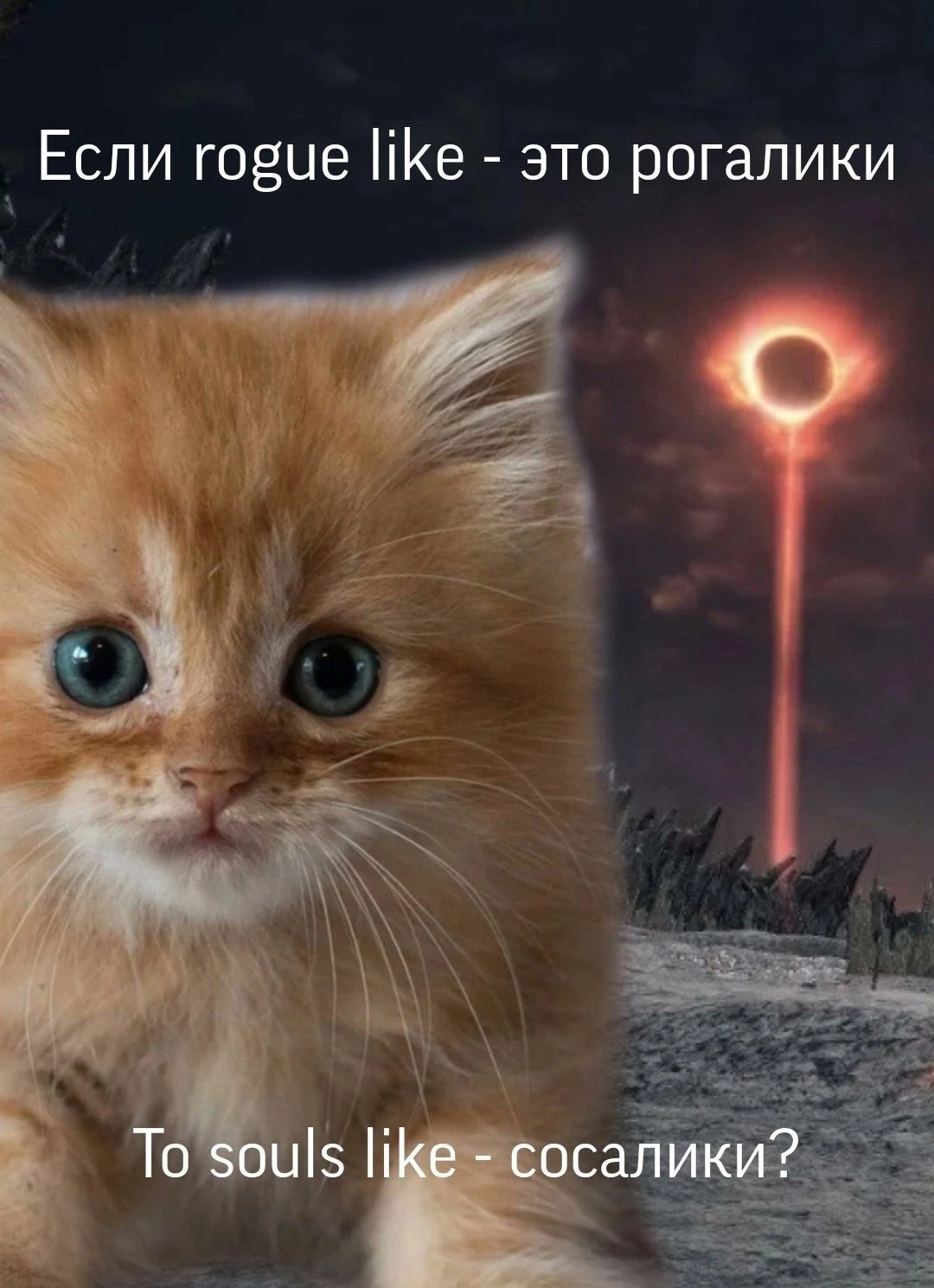 FKbfc2tXwAMhD7q?format=jpg&name=large