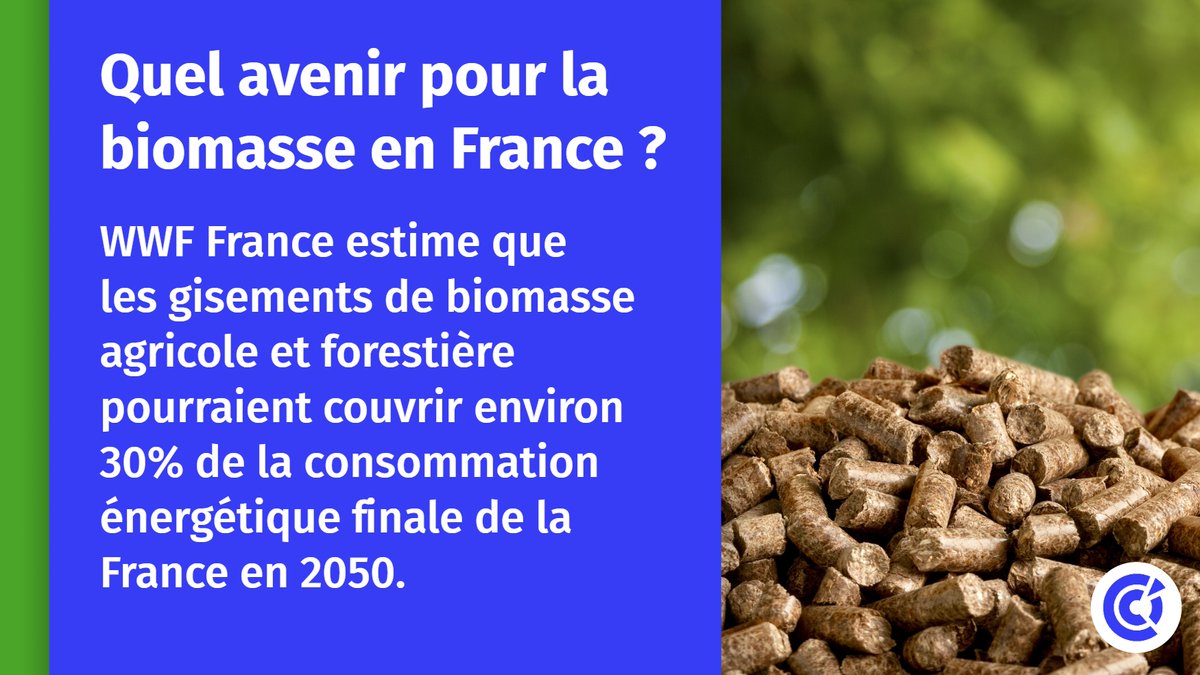 🟢🌱 [#TransitionÉcologique] : « Biomasse : un réel potentiel pour la transition énergétique ? », <a href="/WWFFrance/">WWF France 🐼</a> publie une étude prospective sur l’utilisation de la #biomasse pour l’#énergie en #France, d’ici 2050. + d’infos 👉 bit.ly/3uibmVQ