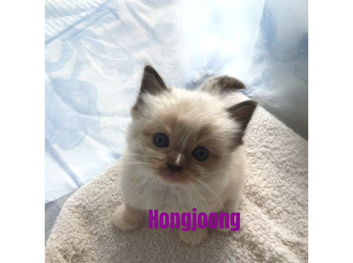 botjoong's tweet photo. https://t.co/xpf9833zOF