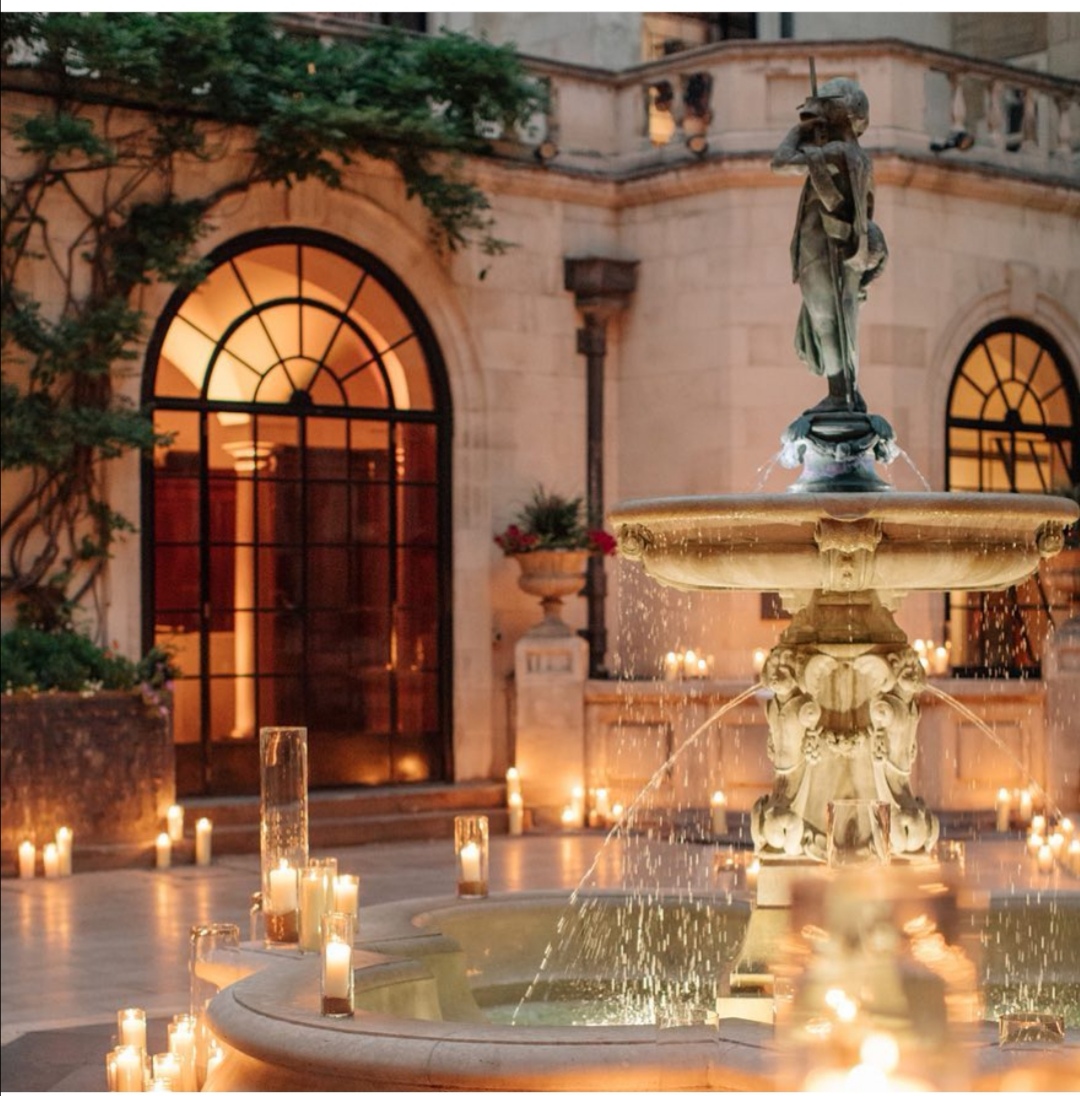 On a bright, cold day in January consider an event with us in our suntrap Courtyard for the warmer months. Surrounded by wildflowers to support pollinators, and local wildlife, this beautiful space is an elegant oasis for day and after dark