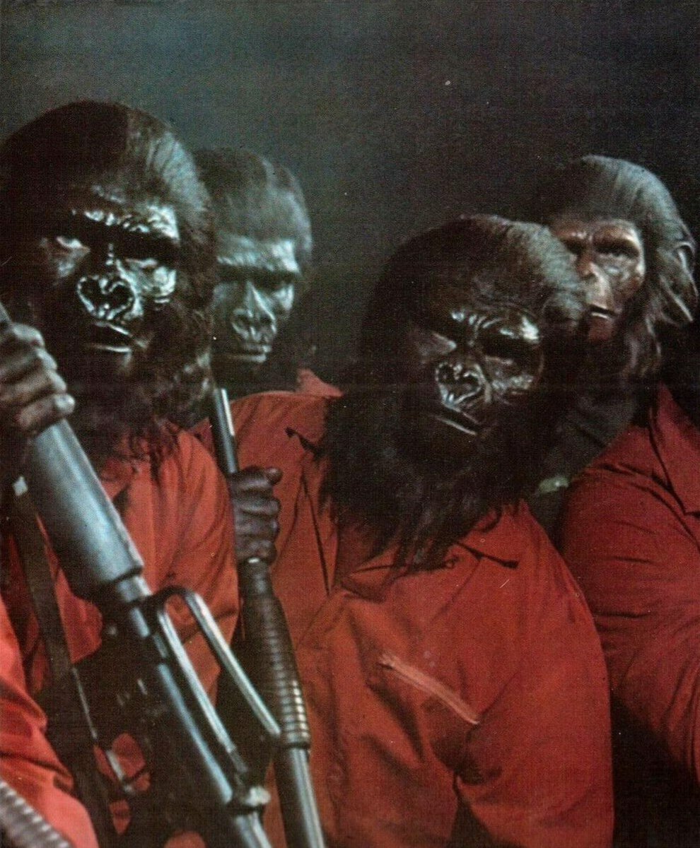 shiigeeboo's tweet photo. CONQUEST OF
THE PLANET OF THE APES (1972) https://t.co/2QCE3T30Lz