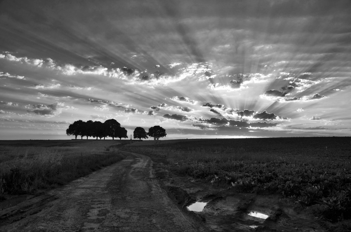 “What we call the beginning is often the end. And to make an end is to make a beginning. The end is where we start from.” (T.S.Elliott)
(Courcelette British Cemetery on the Somme)