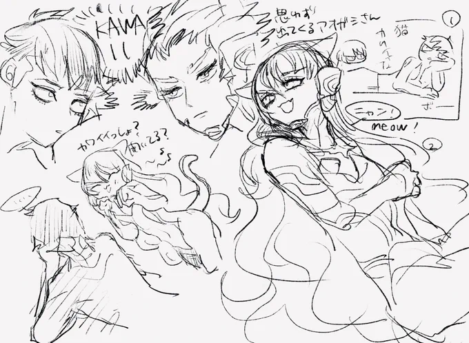 勝手に描きましたすいません 