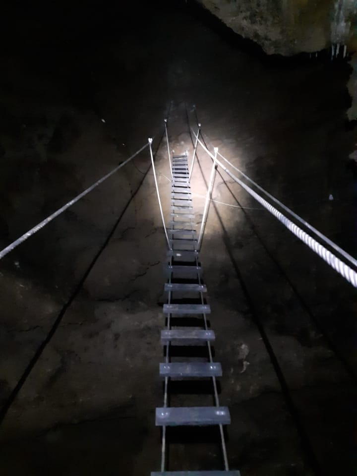 Clamouse tweet media