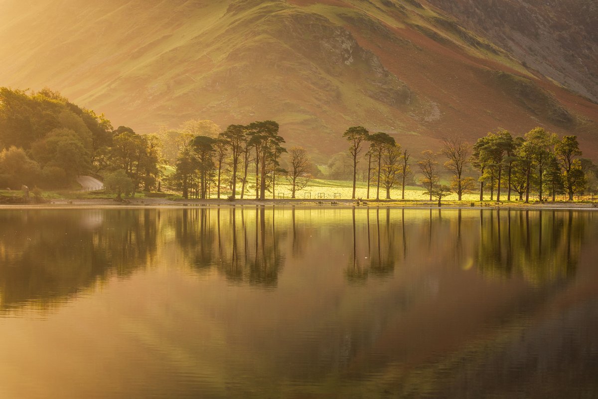 VerityMilligan's tweet photo. I've had one place become available on my Western Lake District workshop with @LightandLand (Feb 23rd - 26th). If you fancy exploring one of my favourite parts of the Lakes with me, follow the link - https://t.co/WAzBmVSlf2 https://t.co/hs4Yk9l1NN