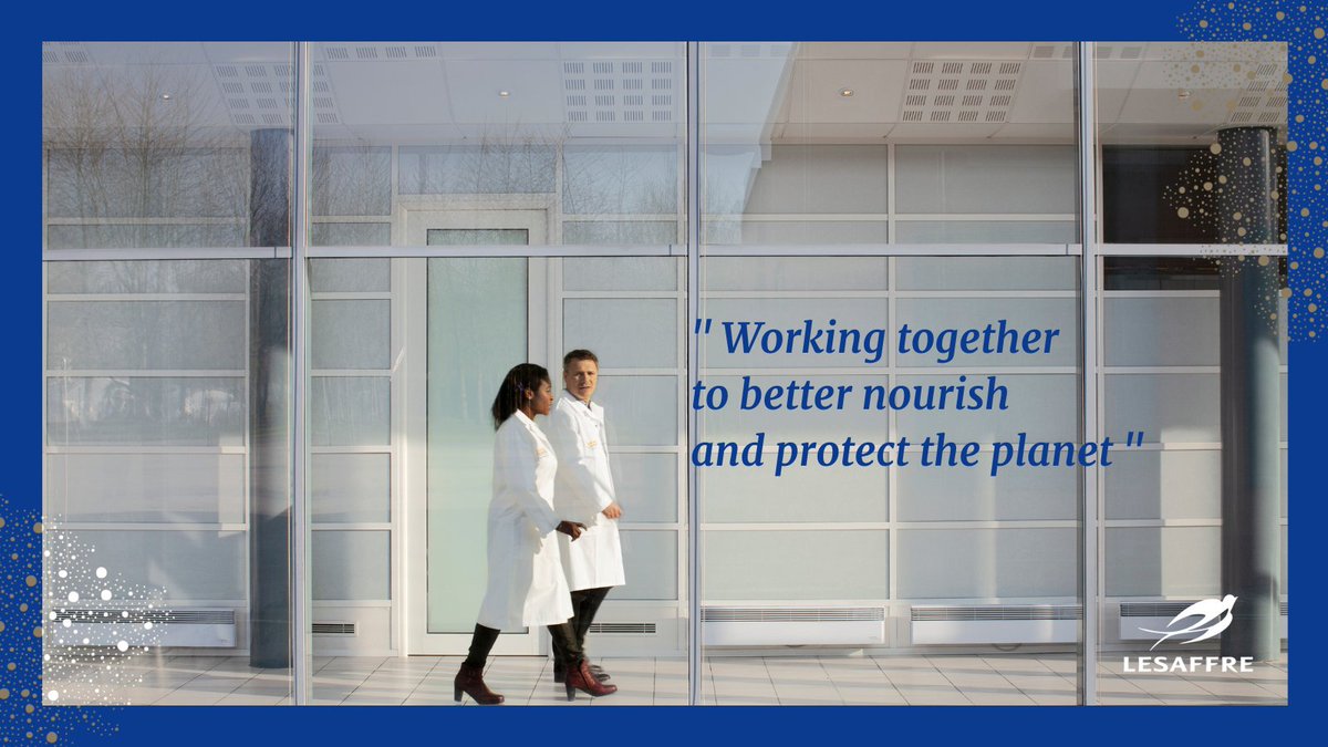 Lesaffre tweet media