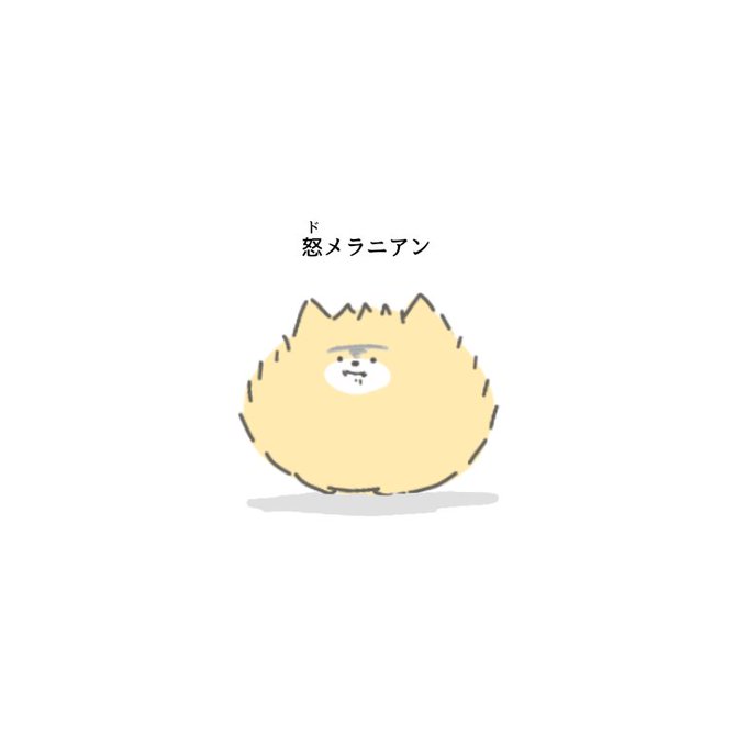 ポメラニアンのtwitterイラスト検索結果