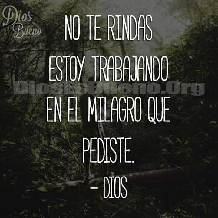 MundoSuenos's tweet photo. Bendecido inicio de semana! https://t.co/PfMFSmscBD