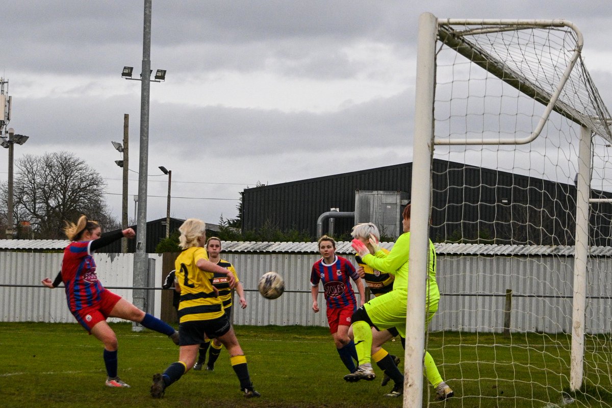 carljones_snaps's tweet photo. 1 step closer 🏆

@WemTownLadies 
https://t.co/oBnxRI6dly
🔴🔵🔴 https://t.co/Ji3WX4tIES