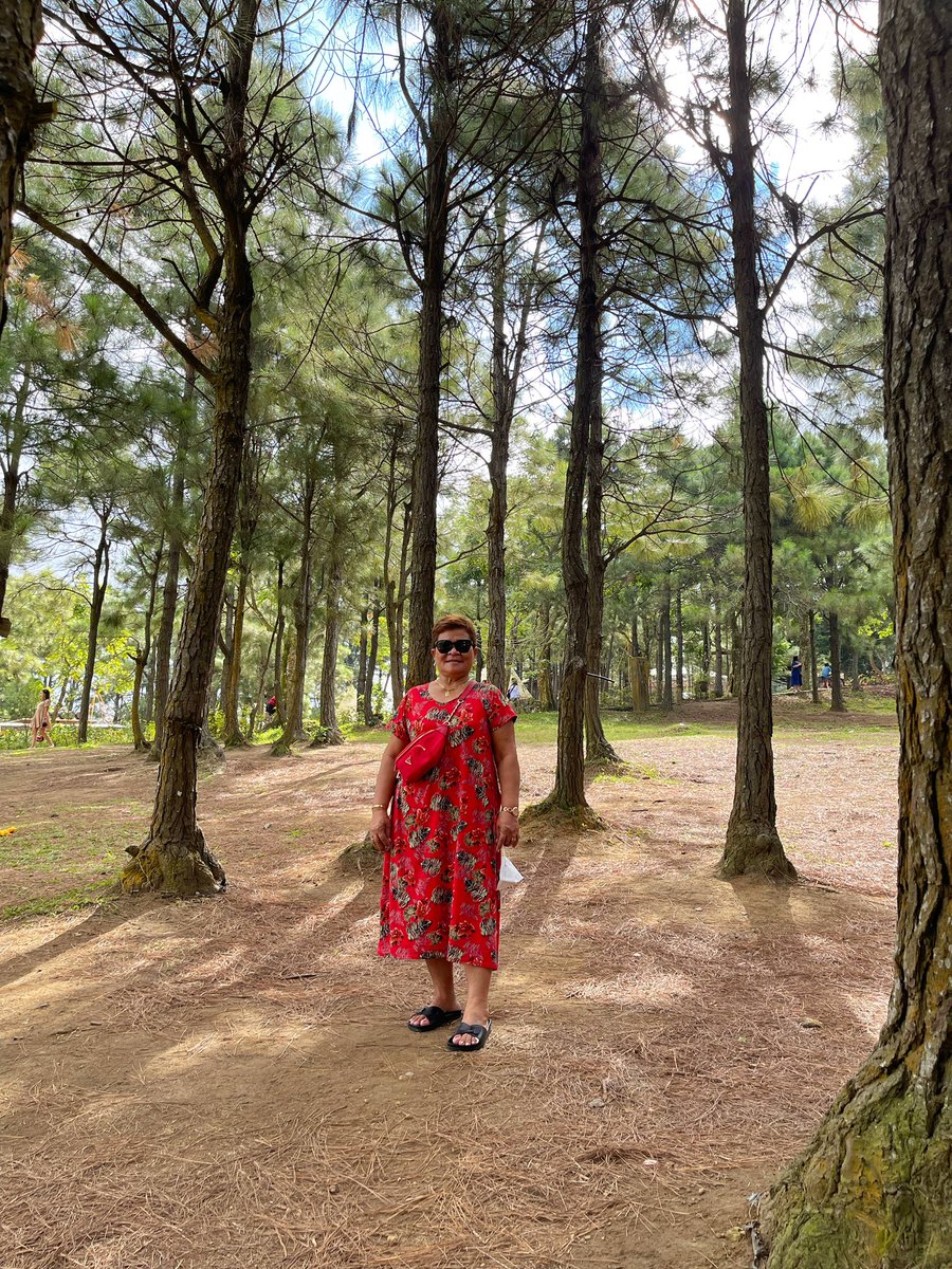 RogelAngeline's tweet photo. Napa at the Crosswinds 🍃 https://t.co/oHcT4h2Gzd