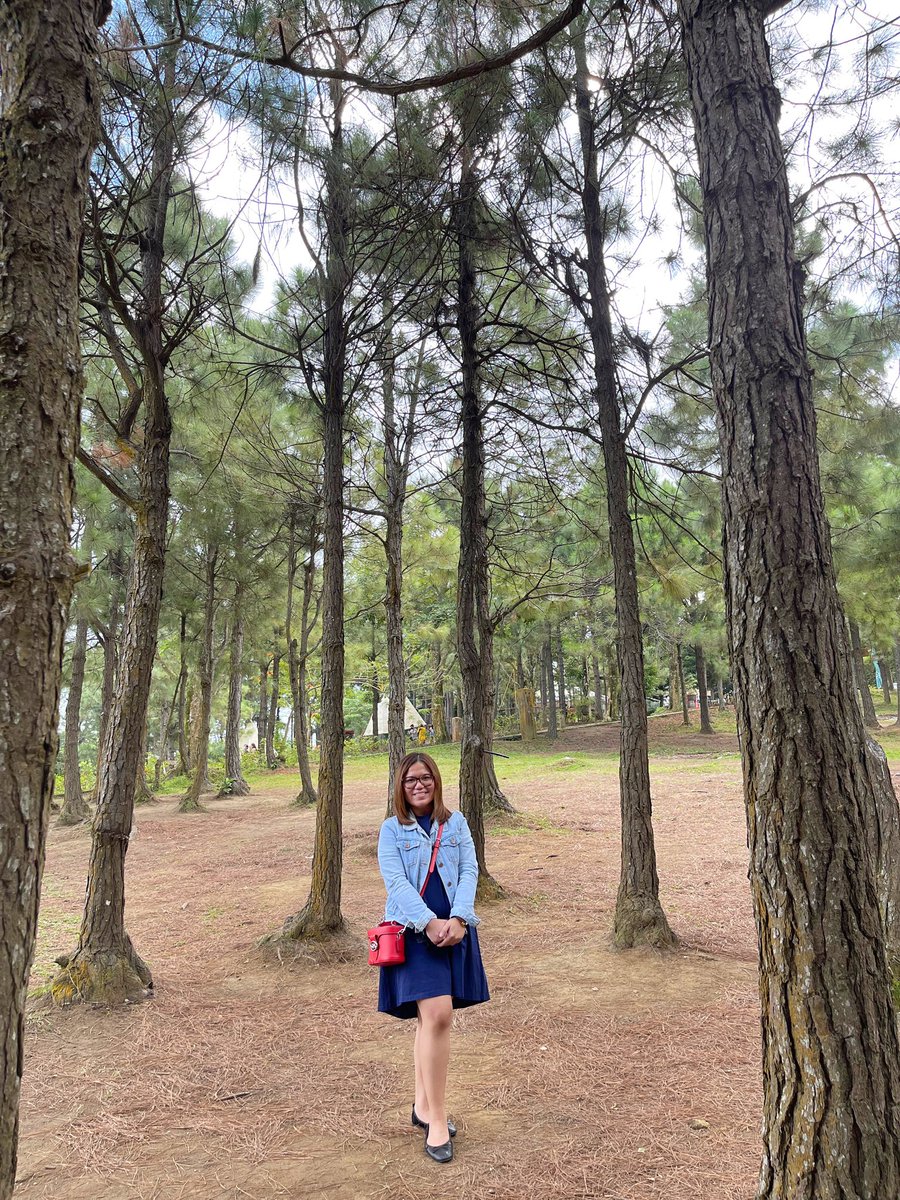 RogelAngeline's tweet photo. Napa at the Crosswinds 🍃 https://t.co/oHcT4h2Gzd