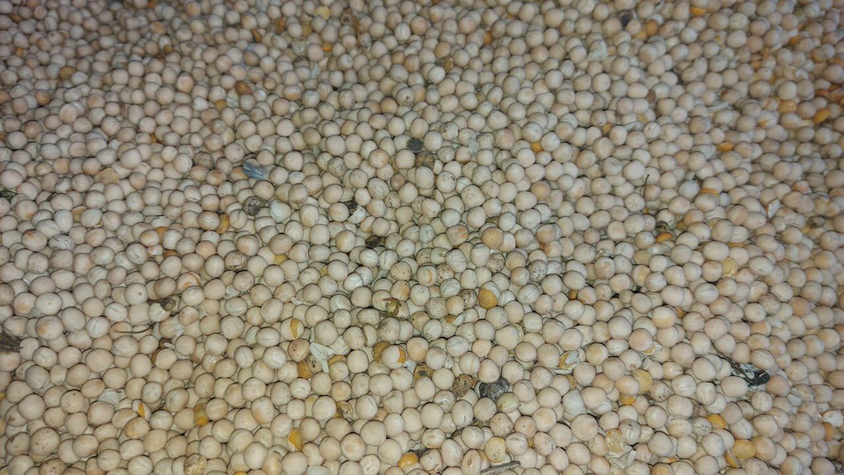 Agro.Club RUSSIA tweet media