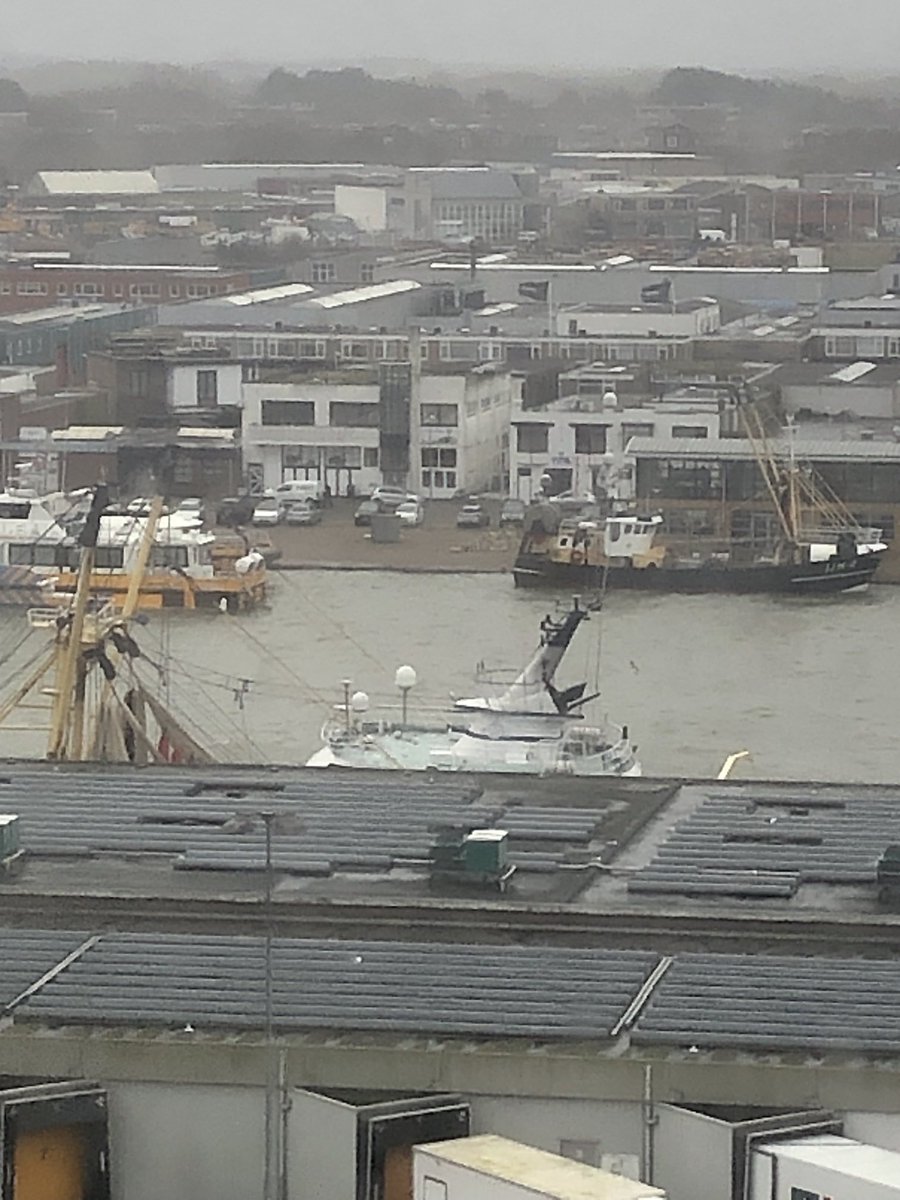 Ron Davio tweet media